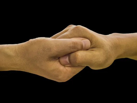 BlueFox Casino Ënnerstëtzung